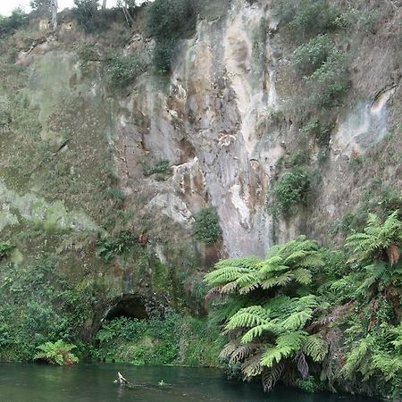 A1 Troutfishing At Tirau Villa Exterior photo