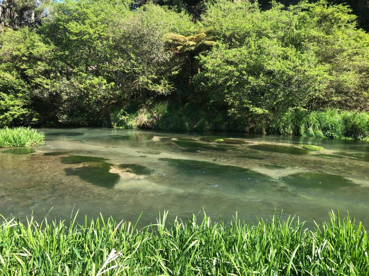A1 Troutfishing At Tirau Villa Exterior photo